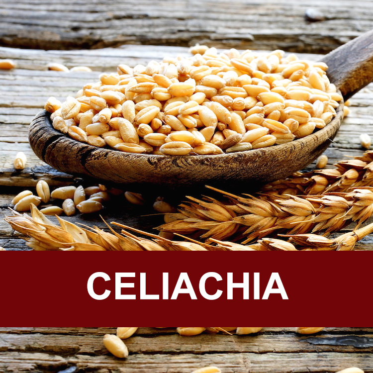 celiachia